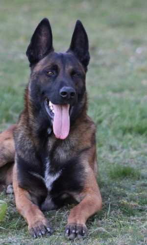 received_1028531790687988